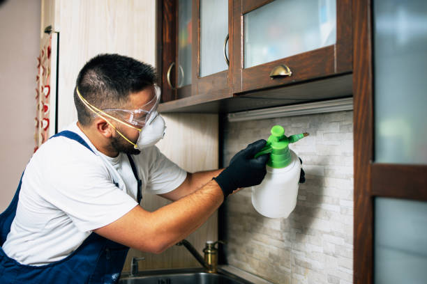 Best Pest Prevention Services  in Alto, GA