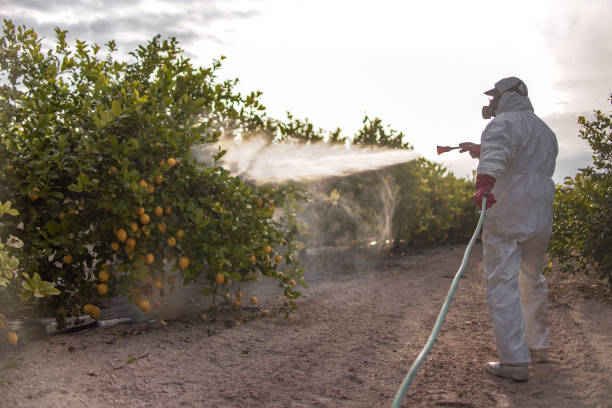 Best Commercial Pest Control Services  in Alto, GA