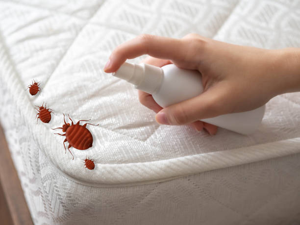 Best Commercial Pest Control Services  in Alto, GA