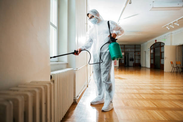 Best Termite Control Services  in Alto, GA