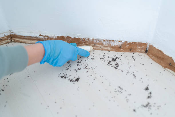Pest Control for Restaurants in Alto, GA